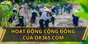 Hoạt động cộng đồng của OK365 COM: Lan tỏa giá trị, kết nối yêu thương