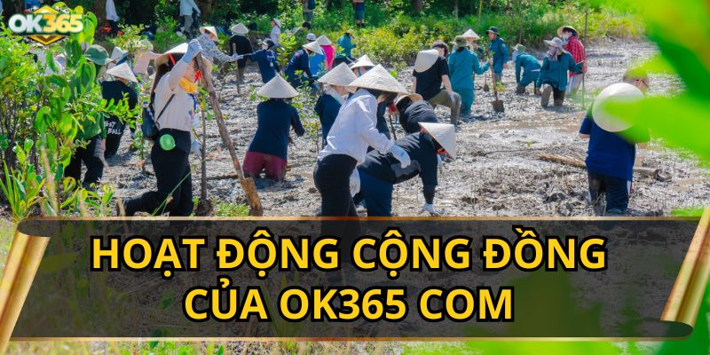 Hoạt động cộng đồng của OK365 COM: Lan tỏa giá trị, kết nối yêu thương